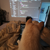 devincoder