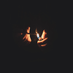 Somnus177