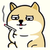 pandashi