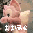 applepanc