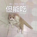 luochengyu