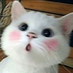 nonoroazoro