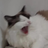 wuxingyouguaiddd