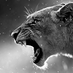 bear145