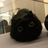 catting