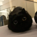 catting