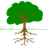 springwood