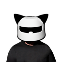 gav1nvv