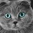 chattrz