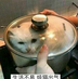 aloeding