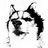 stevenchow1219