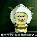 wangl654321