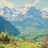 thelordsaves