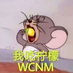 MeiShijian