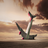 Gyrocopter