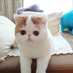 likoshow