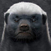anUglyDog