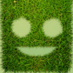 greendyj