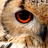 awecat