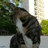 helloworld0zld