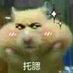 cpstong