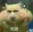 cpstong