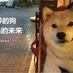 347909514