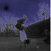 fushipo