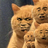 wangycc