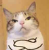 hqw