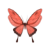 vansenb