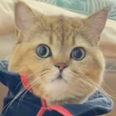 domainnamesir