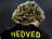 epavel