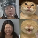 styzcg