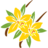 fragrans23