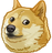Doge2017