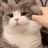 haogbb