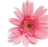 yokmik