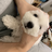 barking11x6
