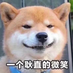 guodavid