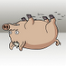 spiderpig