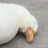 10935336