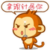 feiyang233
