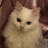 tomylink