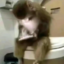 KusuriOwO