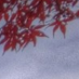 nnqijiu