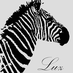 luzjoy