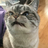 json19920123
