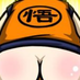 CSINN