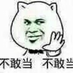 yuepao